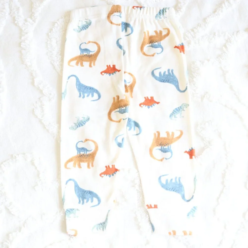Baby Boy Dinosaur Watercolor Leggings Comfy Elastic Pull On Pants